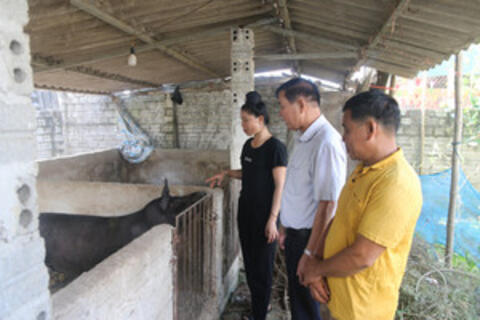 <a href="/xa-hoi" title="Xã hội" rel="dofollow">Xã hội</a>