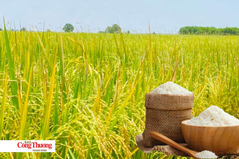 <a href="/thi-truong" title="Thị trường" rel="dofollow">Thị trường</a>