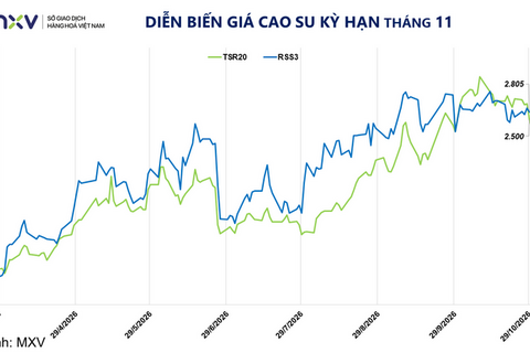 <a href="/thi-truong" title="Thị trường" rel="dofollow">Thị trường</a>
