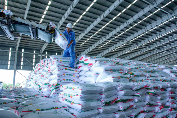 Tháng 6/2025, Phân bón Cà Mau vượt kế hoạch tiêu thụ urê, xuất khẩu tăng mạnh