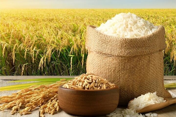 Giá lúa gạo hôm nay 29/8: Thị trường giao dịch trầm lắng, giá bán giữ ổn định