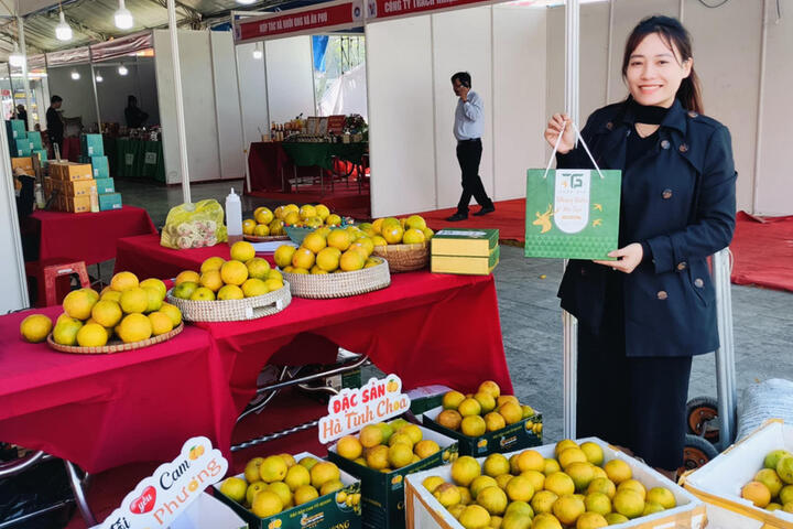 Trồng cam hữu cơ, nông dân Hà Tĩnh thoát nghèo bền vững