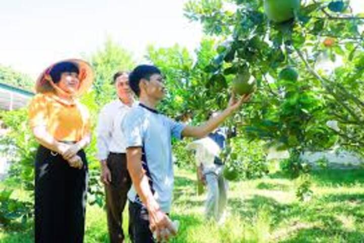 Phát triển sinh kế là giải pháp then chốt giảm nghèo bền vững cho người khó khăn