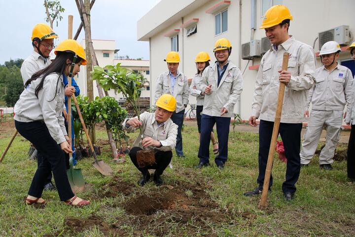 Đoàn Thanh niên BSR xung kích “xanh hóa” Nhà máy Lọc dầu Dung Quất