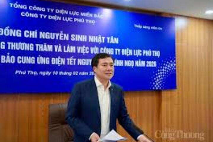Thứ trưởng Nguyễn Sinh Nhật Tân làm việc với Công ty Điện lực Phú Thọ