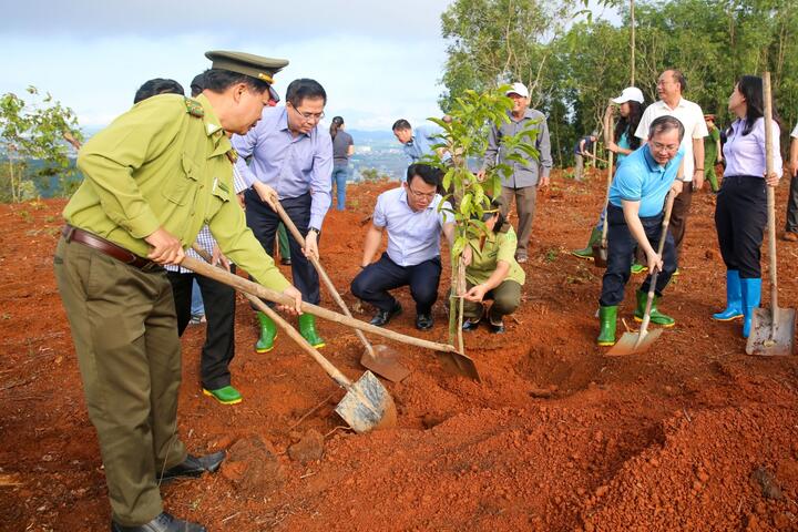 Quảng Ngãi phối hợp cùng BSR thực hiện nhiều hoạt động ý nghĩa dịp đầu xuân và Tháng Thanh niên