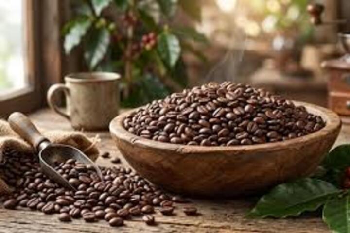 Giá cà phê hôm nay 6/3/2026: Tăng mạnh trở lại, vượt mốc 96.000 đồng/kg