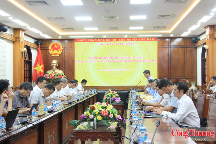 Thứ trưởng Nguyễn Hoàng Long làm việc tại Gia Lai  về Quy hoạch điện VIII điều chỉnh