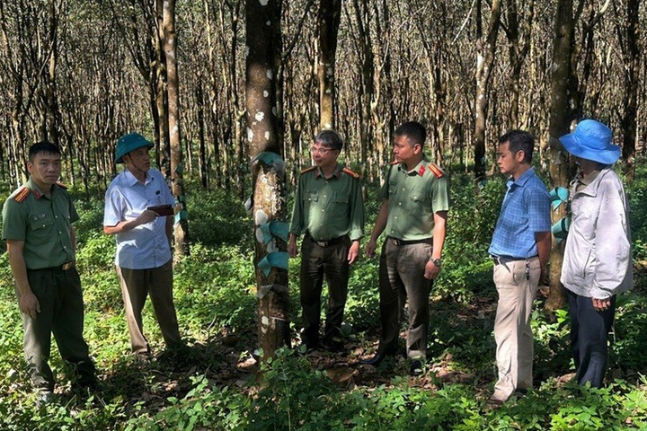 Chiến lược, quy hoạch phát triển kinh tế - xã hội phải đáp ứng yêu cầu bảo đảm an ninh