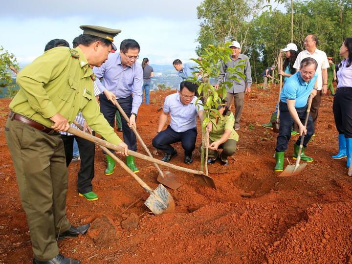 Quảng Ngãi phối hợp cùng BSR thực hiện nhiều hoạt động ý nghĩa dịp đầu xuân và Tháng Thanh niên