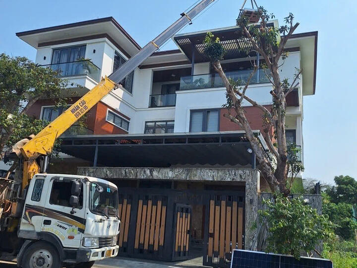 Chỉ thị 10/CT-TTg: 'Cú hích' thúc đẩy điện mặt trời mái nhà phát triển