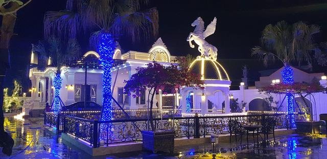 Chiều vợ, đại gia Ninh Bình xây ngay lâu đài 1.500m2 cho nàng về quê nuôi cá và trồng rau - Ảnh 9.