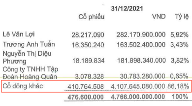 Câu hỏi lớn giữa cuộc chiến tranh quyền hiện nay: Địa ốc Hoàng Quân (HQC) có gì hấp dẫn?  - Ảnh 1.