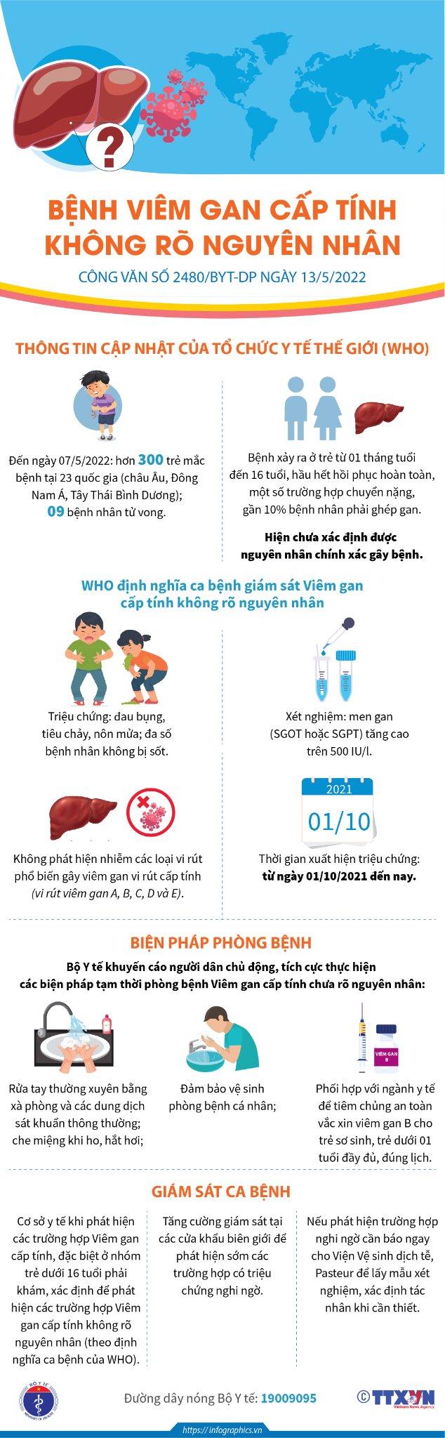 Chuyên gia gan mật BV Nhi TW lưu ý gì với cha mẹ để phòng bệnh viêm gan cấp tính bí ẩn ở trẻ? - Ảnh 3.