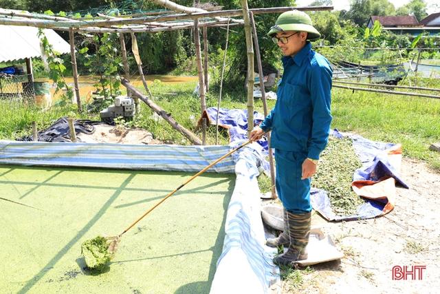 Kỹ sư xây dựng… nuôi ốc bươu, mỗi năm thu nhập hàng trăm triệu - Ảnh 3.