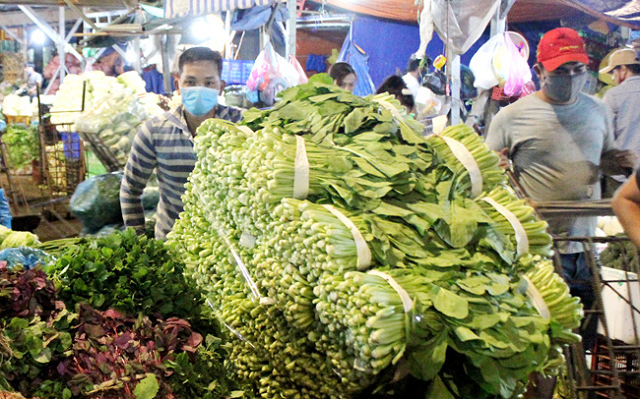 CEO Thuduc House: Nhiều giao dịch có dấu hiệu biến công thành tư dưới thời ban điều hành cũ - Ảnh 1. CEO Thuduc House: Nhiều giao dịch có dấu hiệu biến công thành tư dưới thời ban điều hành cũ - Ảnh 1.