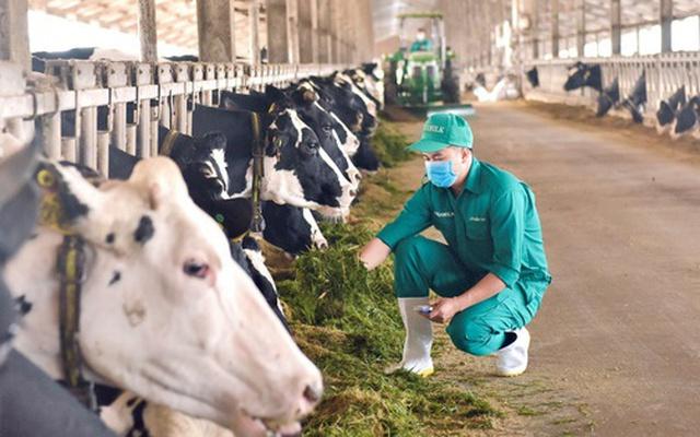 Vinamilk: Đại diện duy nhất từ khu vực Đông Nam Á chia sẻ về mô hình phát triển bền vững của ngành sữa Việt Nam Vinamilk: Đại diện duy nhất từ khu vực Đông Nam Á chia sẻ về mô hình phát triển bền vững của ngành sữa Việt Nam