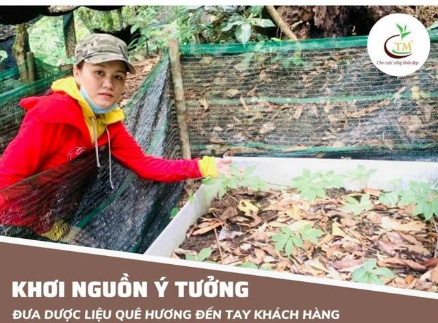 Thận trọng với nhiều loại sâm giả sâm Ngọc Linh - Ảnh 3.