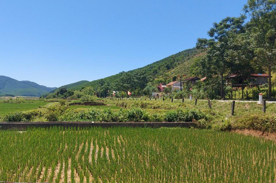 Người dân tộc Chứt nay đã tự biết làm ruộng. Ảnh: Trần Tuấn.