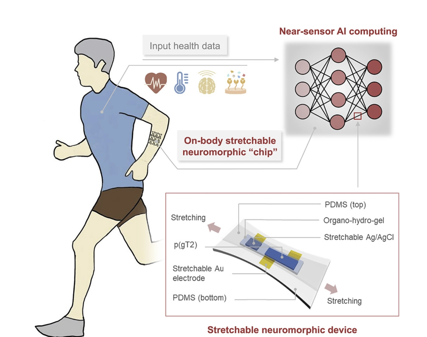 Một giản đồ về chức năng của chip. Ảnh chụp màn hình