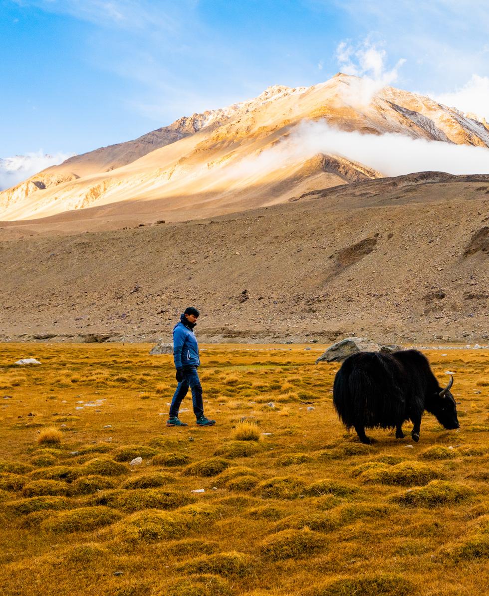 Chạy xe máy dưới núi tuyết tại Ladakh và kỷ niệm lạc đường trong đêm của travel blogger Việt - Ảnh 9.