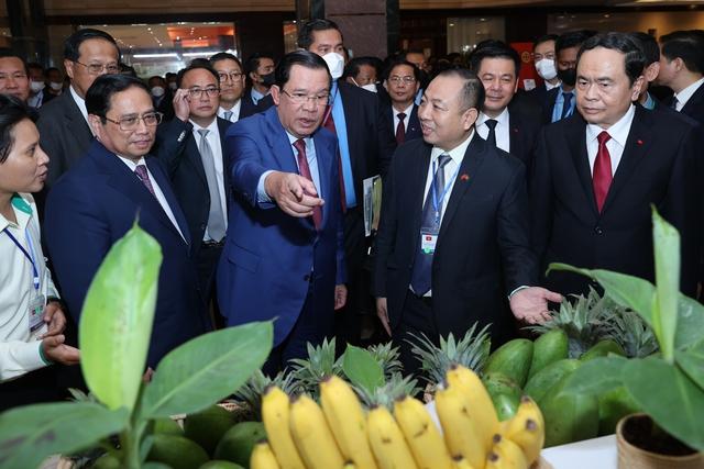 Thủ tướng Hun Sen: Campuchia muốn tham gia chuỗi liên kết sản xuất với Việt Nam - Ảnh 7.