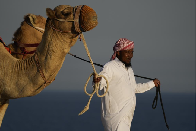 Du lịch Qatar bội thu mùa World Cup: Đến lạc đà cũng "còng lưng" làm thêm giờ vì khách quá đông - Ảnh 2.