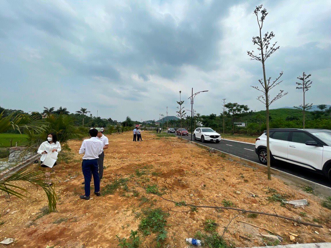 Nhà đầu tư đang quay lưng với đất nền? - Ảnh 1.