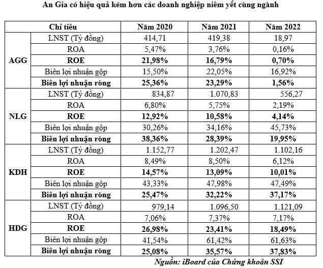 Điều gì đang xảy ra tại An Gia Group? - Ảnh 2.