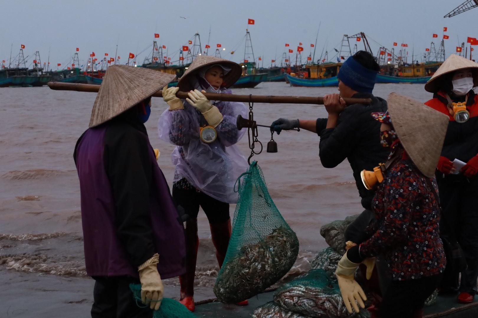 Hải sản vừa xuống bờ đã được đặt lên cân. Ảnh: Nguyễn Thúy