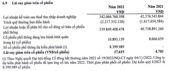 Một công ty "nhỏ xíu" đột nhiên có EPS hơn 31.000 đồng, trả cổ tức 250%: Điều gì đã xảy ra? - Ảnh 5.