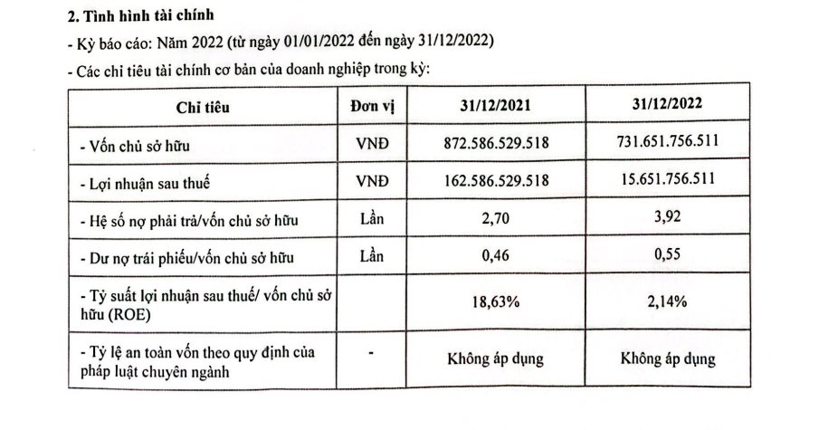 Lợi nhuận Hải Phát Land giảm mạnh trong năm 2022, nợ phải trả cao gấp gần 4 lần vốn chủ sở hữu - Ảnh 2.