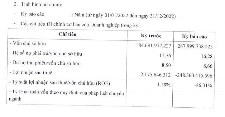 Công ty Nghỉ dưỡng Cam Ranh của "đại gia" Đức cá tầm có nợ phải trả hơn 4.600 tỷ, cao gấp 16 lần vốn chủ sở hữu - Ảnh 2.