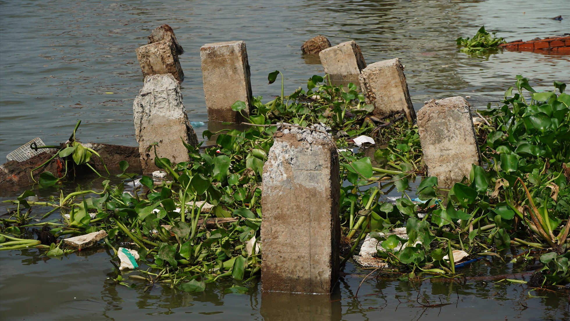 Những cột bờ kè sông Cần Thơ. Ảnh: Tạ Quang