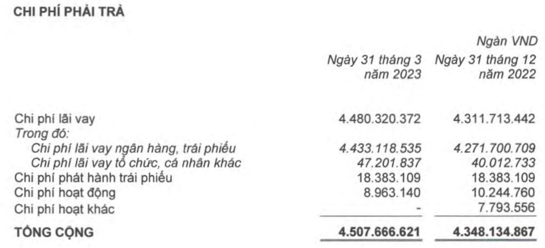 Cổ đông hỏi “Lãi của Hoàng Anh Gia Lai (HAGL) là do hoàn nhập dự phòng”, CEO Võ Trường Sơn nói gì? - Ảnh 3.