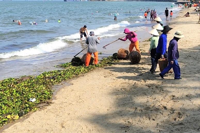 Công nhân đã phải làm việc từ 4h sáng hàng ngày để thu gom, trả lại bãi cát sạch cho bãi tắm. Ảnh: Thành An