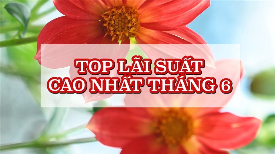 Lãi suất ngân hàng hôm nay 12.6: Tổng hợp top lãi suất cao nhất tháng 6