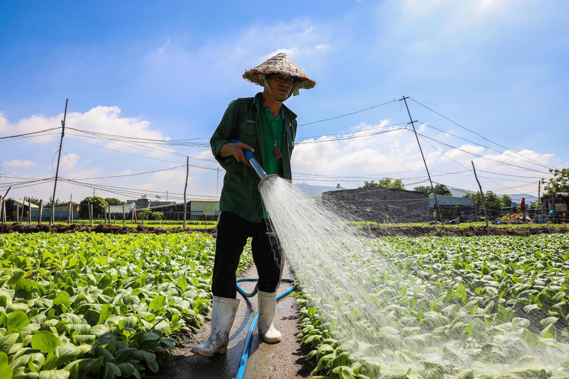 Thị xã có cảng nước sâu lớn nhất Việt Nam sẽ được đề xuất lên thành phố - Ảnh 11.