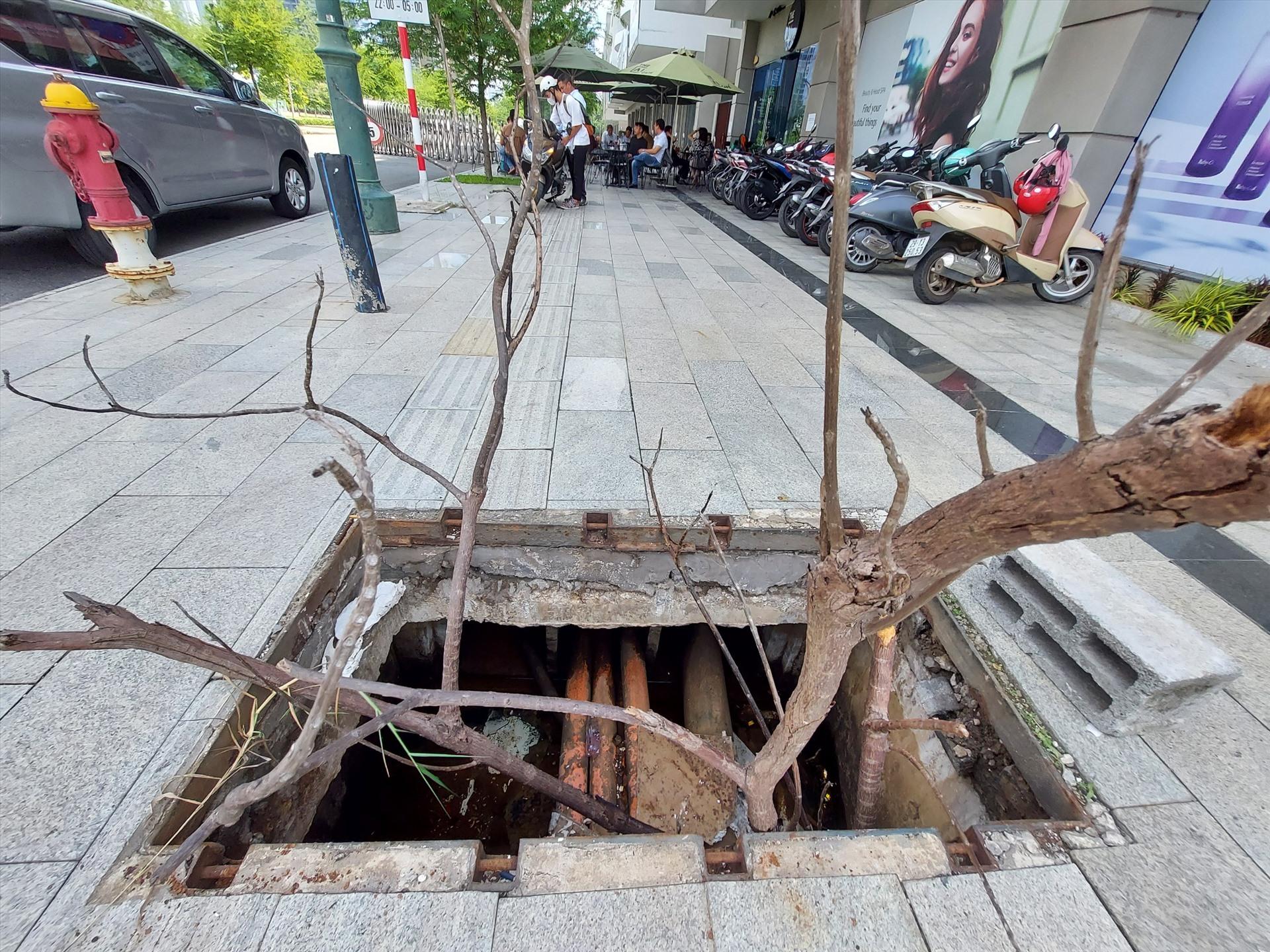 Dọc theo vỉa hè đường Tố Hữu (R2), nhiều miệng cống bị mất nắp không khác gì cái “bẫy” đối với người đi đường. Chỉ một số ít trong đó che chắn tạm bằng những cành cây