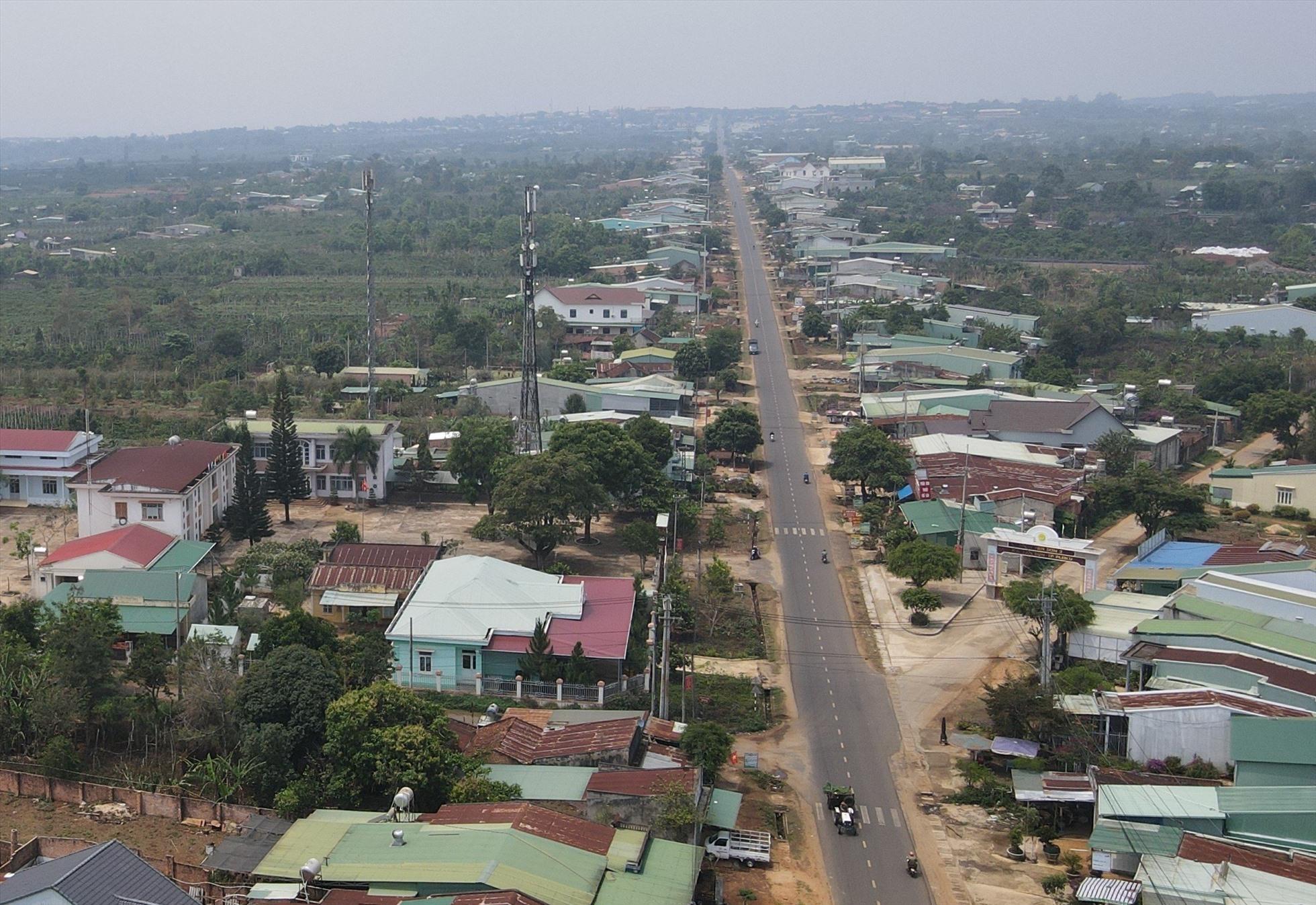 Thu hồi đất chè Biển Hồ và Đak Đoa để làm đường hành lang nghìn tỉ đồng