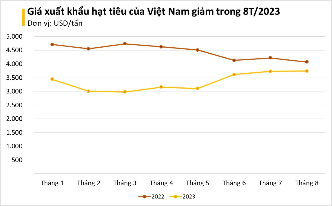 Mặt hàng Việt Nam có sản lượng lớn nhất thế giới đang liên tục tràn vào Ai Cập, xuất khẩu tăng mạnh 200% chỉ trong tháng 8 - Ảnh 2.