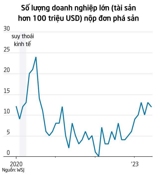 Làn sóng phá sản, vỡ nợ dâng lên ở Mỹ: Liên tiếp chứng kiến các doanh nghiệp lớn 'ngã ngựa', không thể 'gánh gồng' trước sức ép từ lãi suất quá cao - Ảnh 2.