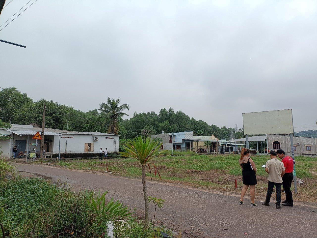 Từng liên tục rộ tin lên thành phố, đất nền nơi đây vẫn quay đầu giảm giá, có nền cắt lỗ gần 40% không ai hỏi - Ảnh 1.