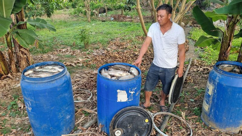 Hàng tấn cà nhà ông Mạnh (áo trắng) bị chết trắng. Ảnh: Minh Nguyễn