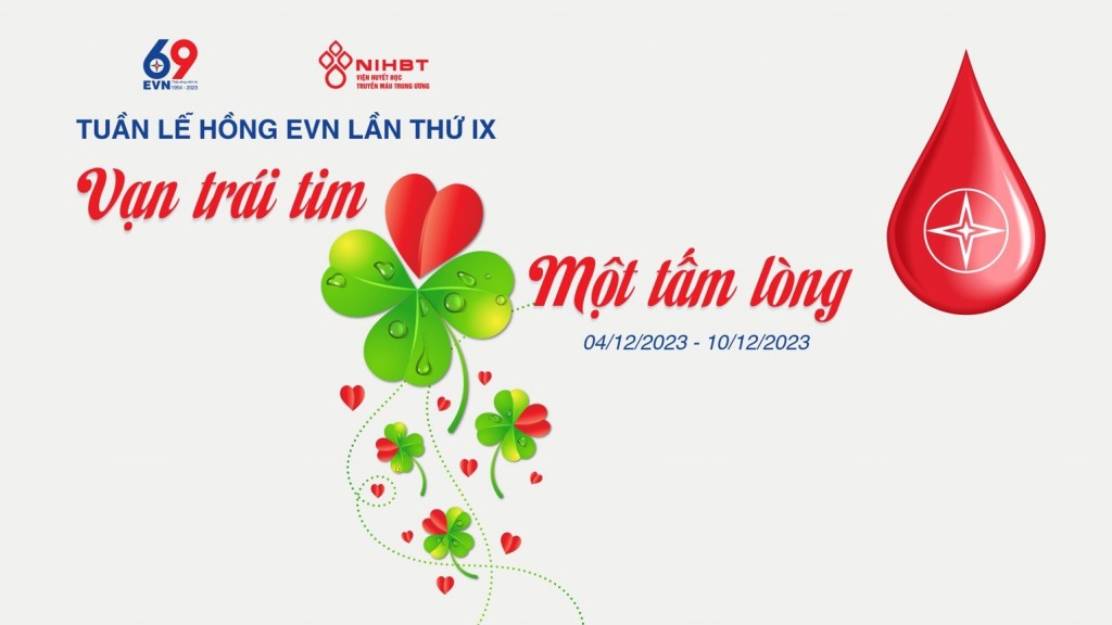 Công ty ĐHĐ hưởng ứng Tuần lễ hồng EVN lần thứ IX