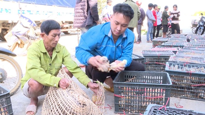 Những nỗ lực trong công tác giảm nghèo của xã biên giới Trung Chải