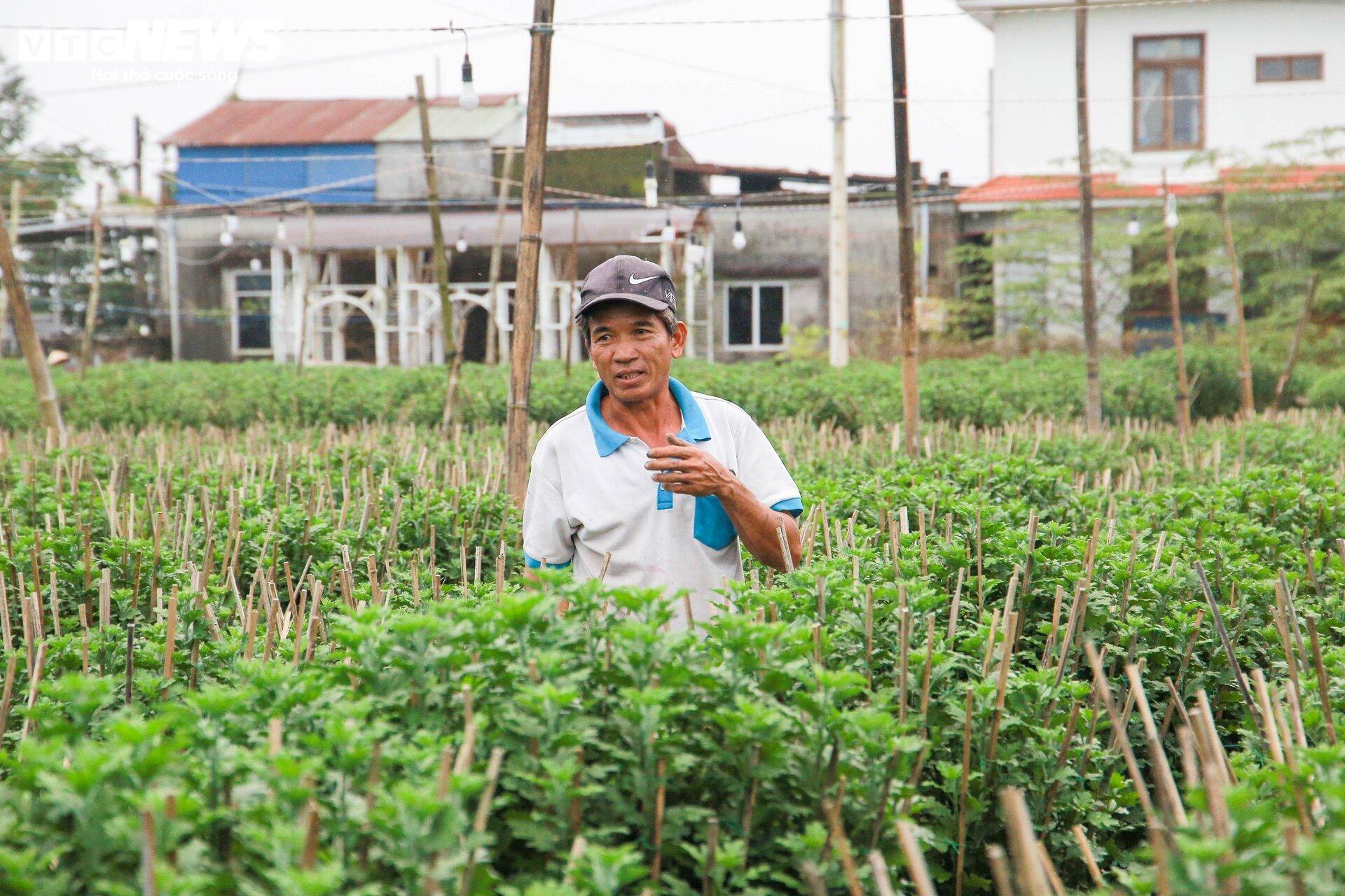 Loài hoa 'đặc biệt' giúp dân xứ Huế thu trăm triệu dịp Tết - Ảnh 4.