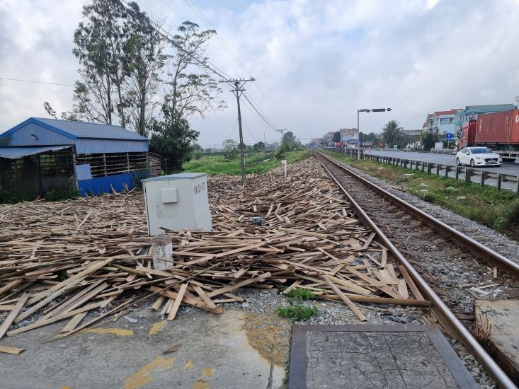 Nhiều khu vực tre, nứa được người dân vớt lên từ kênh mương để bên đường bốc mùi hôi thối nồng nặc. Ảnh: Hà Vi