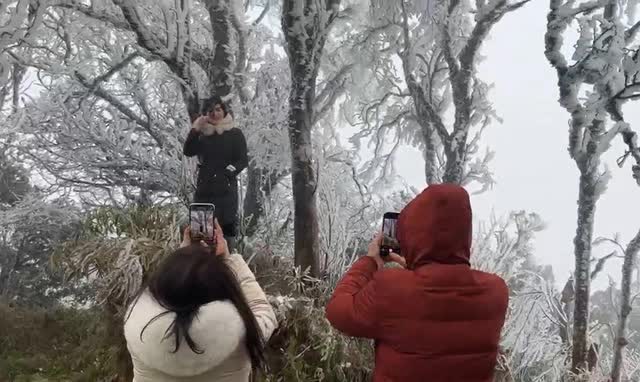 Không phải Fansipan hay Mẫu Sơn, đến đỉnh núi này cũng có thể ngắm được băng giá: Cách Hà Nội hơn 200km- Ảnh 8.