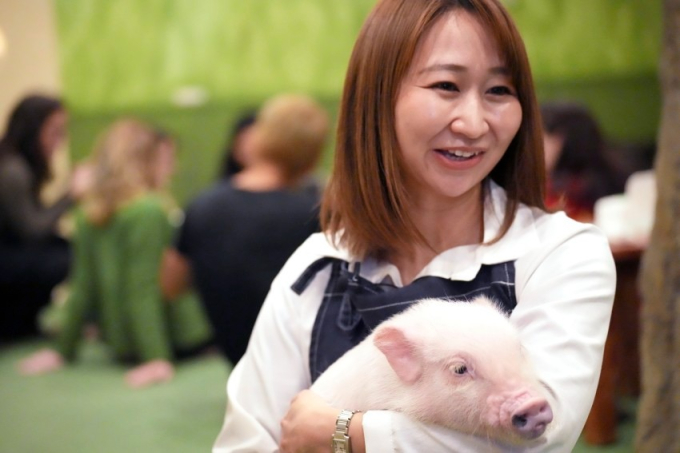 Trào lưu mới "vô cùng sang chảnh" ở các quán cà phê thời thượng Nhật Bản: Vừa uống cà phê vừa ôm lợn, phản ứng của khách gây ngỡ ngàng - Ảnh 9. Trào lưu mới "vô cùng sang chảnh" ở các quán cà phê thời thượng Nhật Bản: Vừa uống cà phê vừa ôm lợn, phản ứng của khách gây ngỡ ngàng - Ảnh 9.